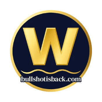 logo-winsor588